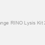 Orange RINO Lysis Kit 250
